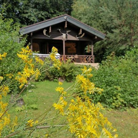Blockhaus Am Twistesee Mit 3 Schlafzimmern Bad Arolsen Exteriér fotografie