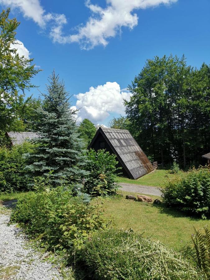 Blockhaus Am Twistesee Mit 3 Schlafzimmern Bad Arolsen Exteriér fotografie