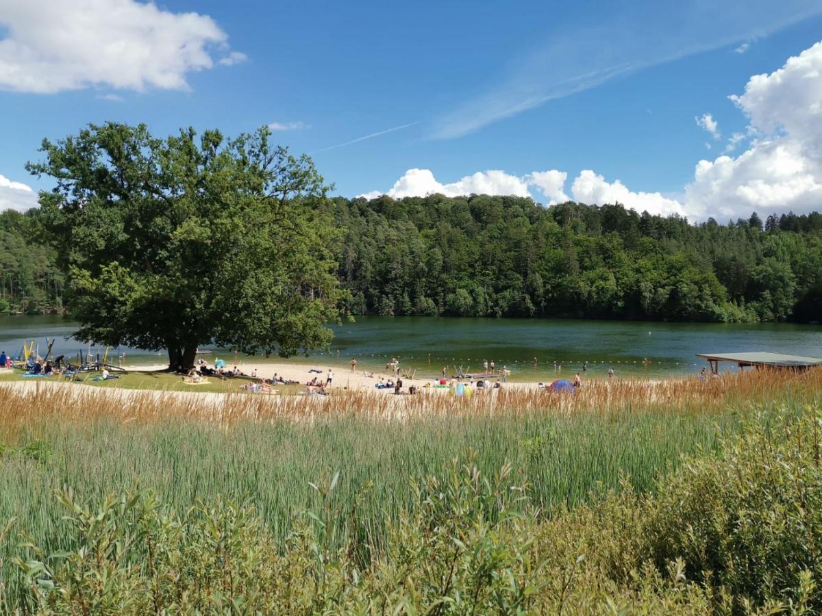 Blockhaus Am Twistesee Mit 3 Schlafzimmern Bad Arolsen Exteriér fotografie